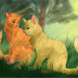 Meet your Posher, Xavier